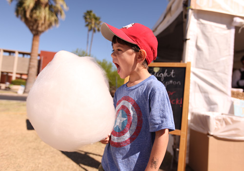 homepage-slideshow-big-fluff